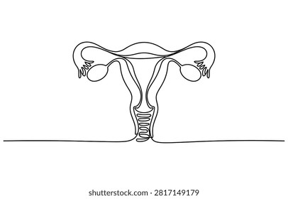 Continuous single line drawing of female reproductive system uterus and ovaries Vector, illustration