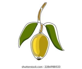 continuous single line drawing of fruit loquat