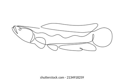 Continuous single line drawing, giant snake head fish or channa, simple concept for sign or icon and t-shirt printing. vector illustration.