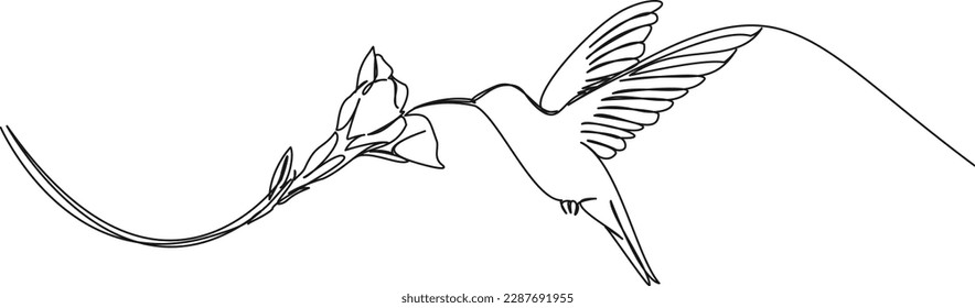 continuous single line drawing of hummingbird hovering while feeding at flower, line art vector illustration