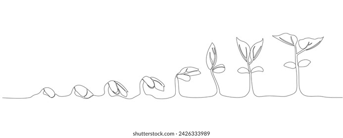 Continuous single line drawing infographic about planting and growth stage of a plant . Seeds sprouting in the ground. Icons Sprouts, plants, trees are growing . Single line vector illustration