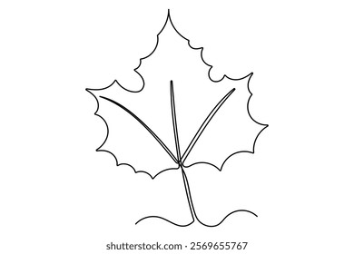 Continuous single Line Drawing Of a Leaf Editable Stroke outline vector illustration