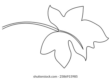 Continuous single Line Drawing Of a Leaf Editable Stroke outline vector illustration
