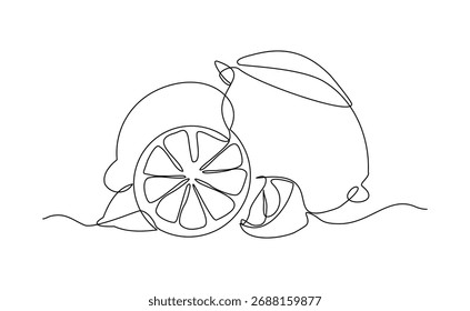 Continuous single line drawing of lemon lime fresh summer fruit sketch editable stroke vector illustration	