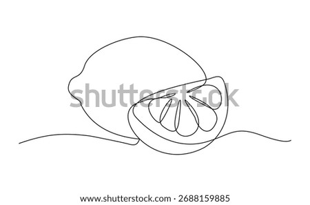 Continuous single line drawing of lemon lime fresh summer fruit sketch editable stroke vector illustration	