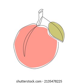 Continuous single line drawing of peach fruit. Minimalistic colorful sketch for logo, posters, wall art. Vector illustration isolated on white background