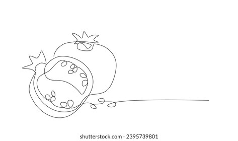 Continuous single line drawing of Pomegranate. One line drawing of fruit. Happy Shana Tova Fruit contour with editable stroke. Line art sketch. Abstract minimalistic style. Design vector element