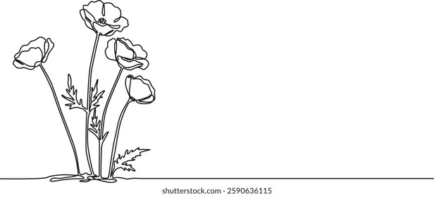 continuous single line drawing of poppy flowers, wildflower line art vector illustration