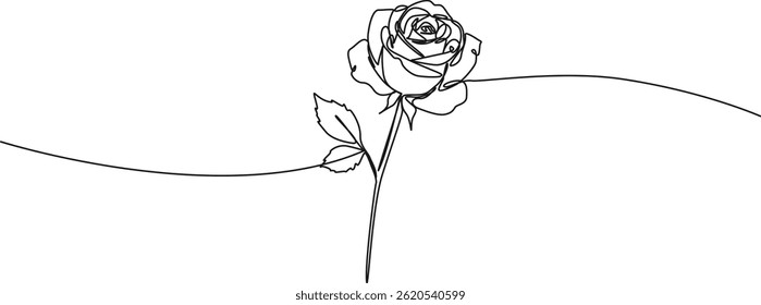 continuous single line drawing of a rose, line art vector illustration