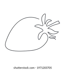 Continuous single line drawing of a strawberry. Fruit drawn with one line. Drawing whole object single line. Abstract, minimalistic style. Vector illustration isolated background.