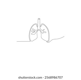 Continuous single line on the anatomy of the lungs. White background Minimalist vector illustration.