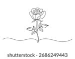 Continuous single line of rose flower drawing outline vector art illustration
