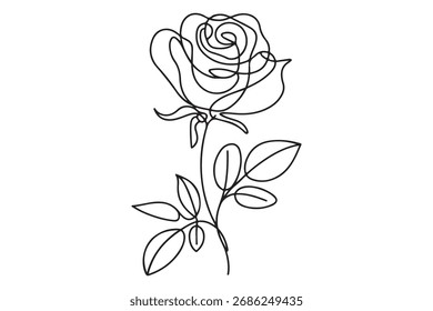 Continuous single line of rose flower drawing outline vector art illustration
