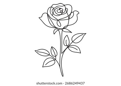 Linha única contínua de flor de rosa desenho esboço vetor arte ilustração
