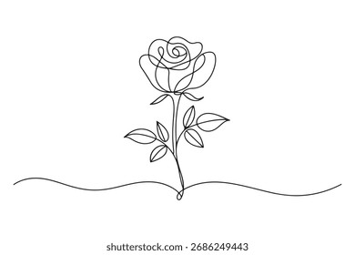 Continuous single line of rose flower drawing outline vector art illustration
