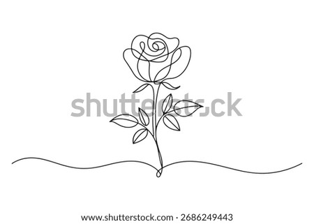 Continuous single line of rose flower drawing outline vector art illustration
