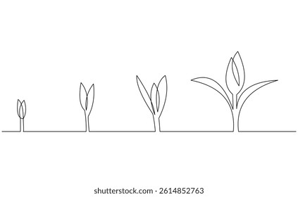 Continuous single line of seeds growth. Step of nature and economical growing up success sketch drawing editable stroke vector illustration