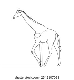 Continuous single line sketch drawing of wild giraffe standing tall in wildlife editable stroke vector illustration