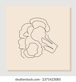Continuous single line sketch hand drawn drawing of whole healthy organic cauliflower broccoli for farm logo identity. One line art concept for fresh vegetable icon. Vector illustration