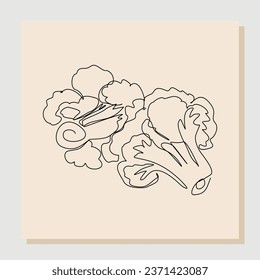 Esbozo continuo de línea única dibujado a mano de brocoli de coliflor orgánico sano para la identidad del logo de la granja. Concepto de arte de una línea para el icono de verduras frescas. Ilustración del vector