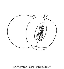 Continuous single one line drawing of fresh fruit green melon vector illustration