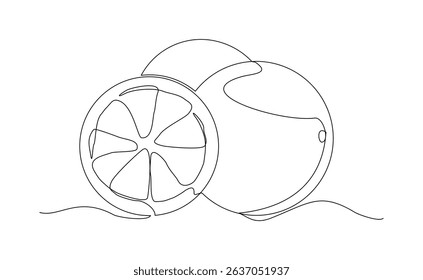 Continuous single one line drawing of orange fresh summer fruit sketch art editable stroke vector illustration