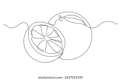 Continuous single one line drawing of orange fresh summer fruit sketch art editable stroke vector illustration