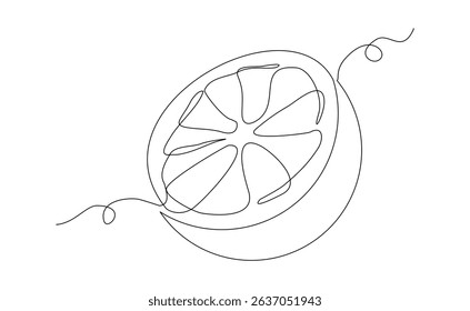 Continuous single one line drawing of orange fresh summer fruit sketch art editable stroke vector illustration