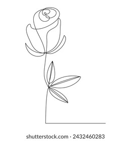 Continuous single One line rose design hand drawn drawing roses line art illustration