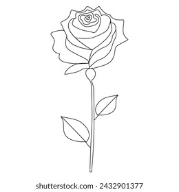 Continuous single-line rose design hand drawn drawing roses line art illustration