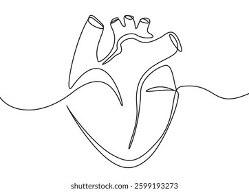 Continuously line drawing of the human kidney in red vector illustration.