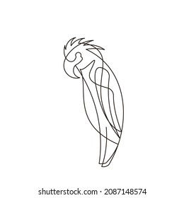 contisius line bird icon modern design