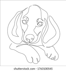 Contiuous line of cute dog