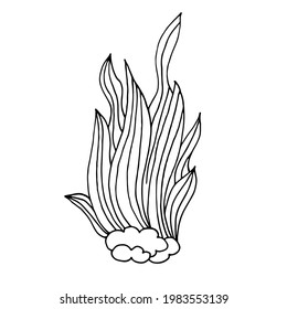 Contacto. Bush de Algae. Icono de tema marino en estilo de dibujo a mano. Icono, insignia, pegatina, imprimir para ropa