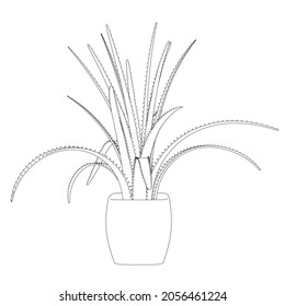 Contour aloe flower in a pot isolated on white background. Front view. Vector illustration
