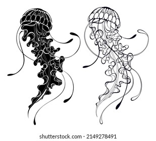 Contour, artistically drawn jellyfish with long, beautiful tentacles on white background. Silhouette jellyfish.