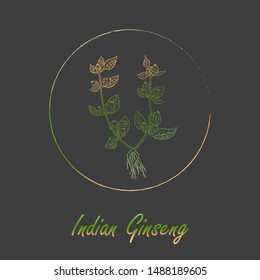 Contour Ashwagandha Plant Colored with Vibrant Gradient and Placed in Round Brush Painted Frame. Withania Somnifera Latin Name Colored with Gradient.  Label for Traditional Medicine.