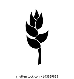 contour beauty exotic and tropical flower branch