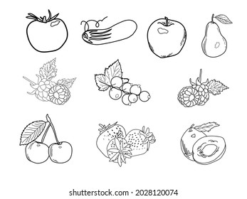 Contour black and white icons of stickers of fruits, vegetables, berries for home canning on a white isolated background.