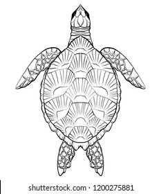 Contour black and white illustration of turtle. The object is separate from the background. Linear illustration for printing on T-shirts, covers, sketches of tattoos and your design.
