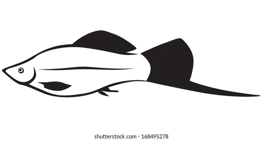 Contour black and white image platies fish