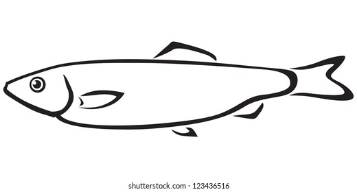 Contour black and white sea fish sprat