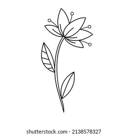 Contour black-and-white drawing of a decorative lily flower with stamens and leaf. Vector illustration. Coloring page. 