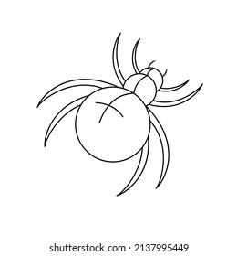 Contour black-and-white drawing of a spider. Vector illustration. Coloring page. 