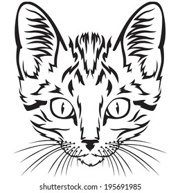 Contour black-and-white image muzzle of tabby kitten