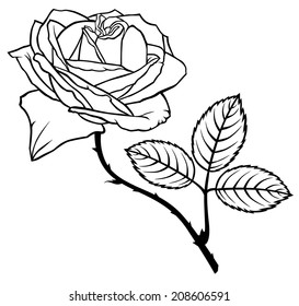 Contour Blackandwhite Image Rose Flower Stock Vector (Royalty Free ...