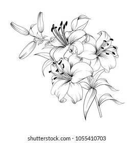 Contour of blooming lily isolated over white background. White lily flower. Wedding romantic bouquet.