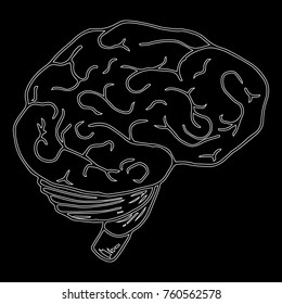Contour of the brain on a black background. Human brain. Vector illustration.