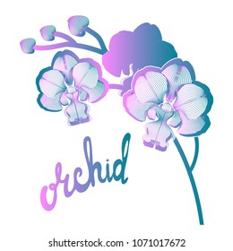 Contour branches orchid flowers on white background and hand drawn calligraphy phrase. Brush pen lettering.Can be used for printing on wrapping paper, creating card, postcard. Vector illustration.