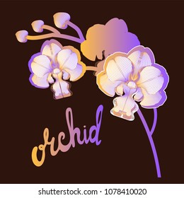 Contour branches orchid flowers on brown background and hand drawn calligraphy phrase.Brush pen lettering.Can be used for printing on wrapping paper, creating card, postcard. Vector illustration.